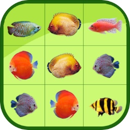 爱游戏APP官方入口苹果版